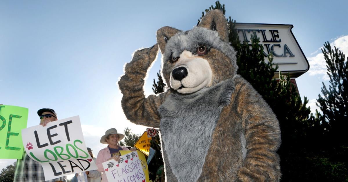 Wolf Relocation 'Hope for Wolves' rally voices concerns about proposed Mexican wolf ...