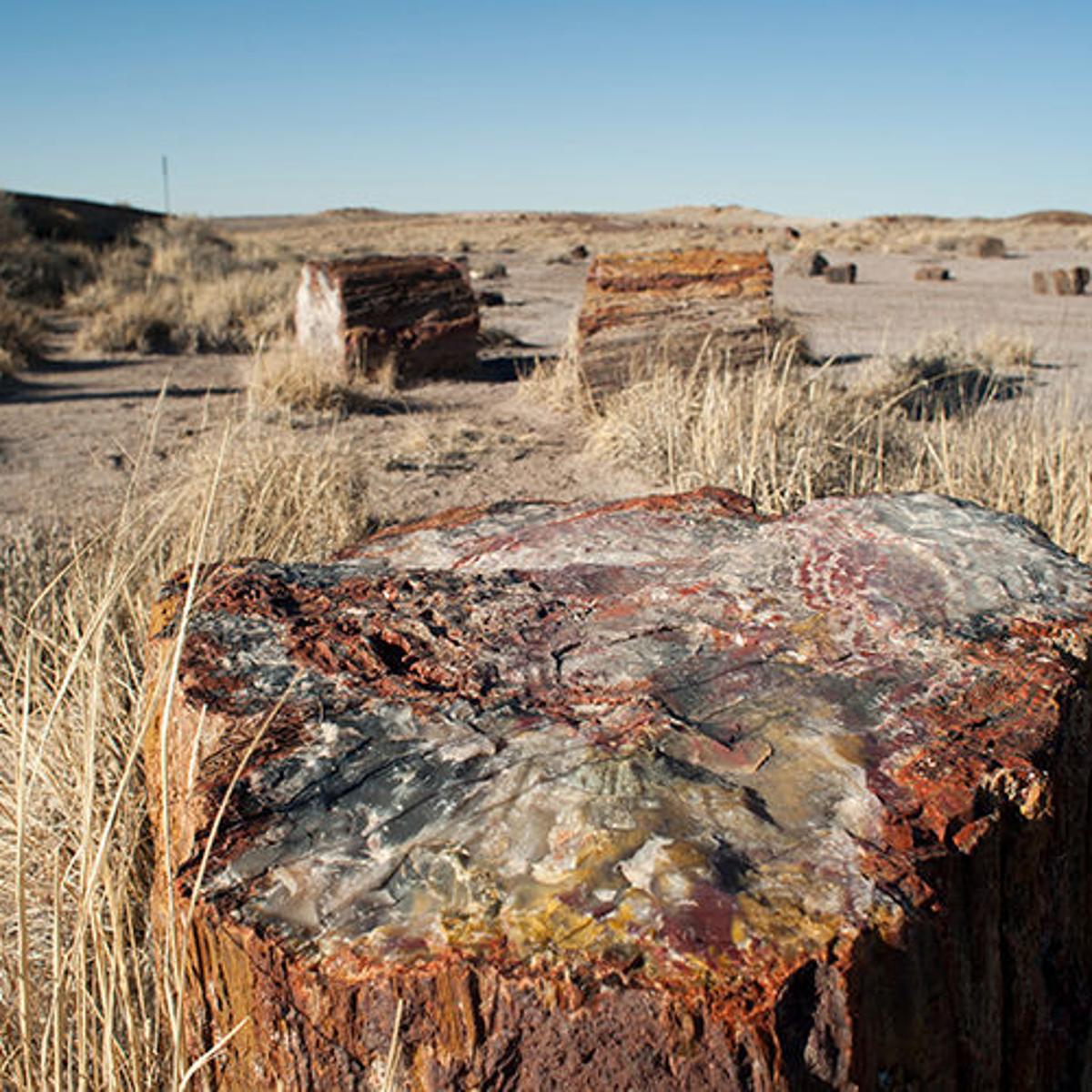 Helium Producer Leases Land Near Petrified Forest