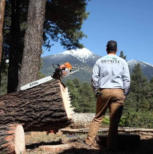 Standing tall: Cut Rite Forestry tops the list for Best Tree Services ...