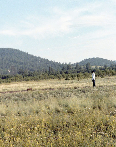 1983: Jeffrey Harper