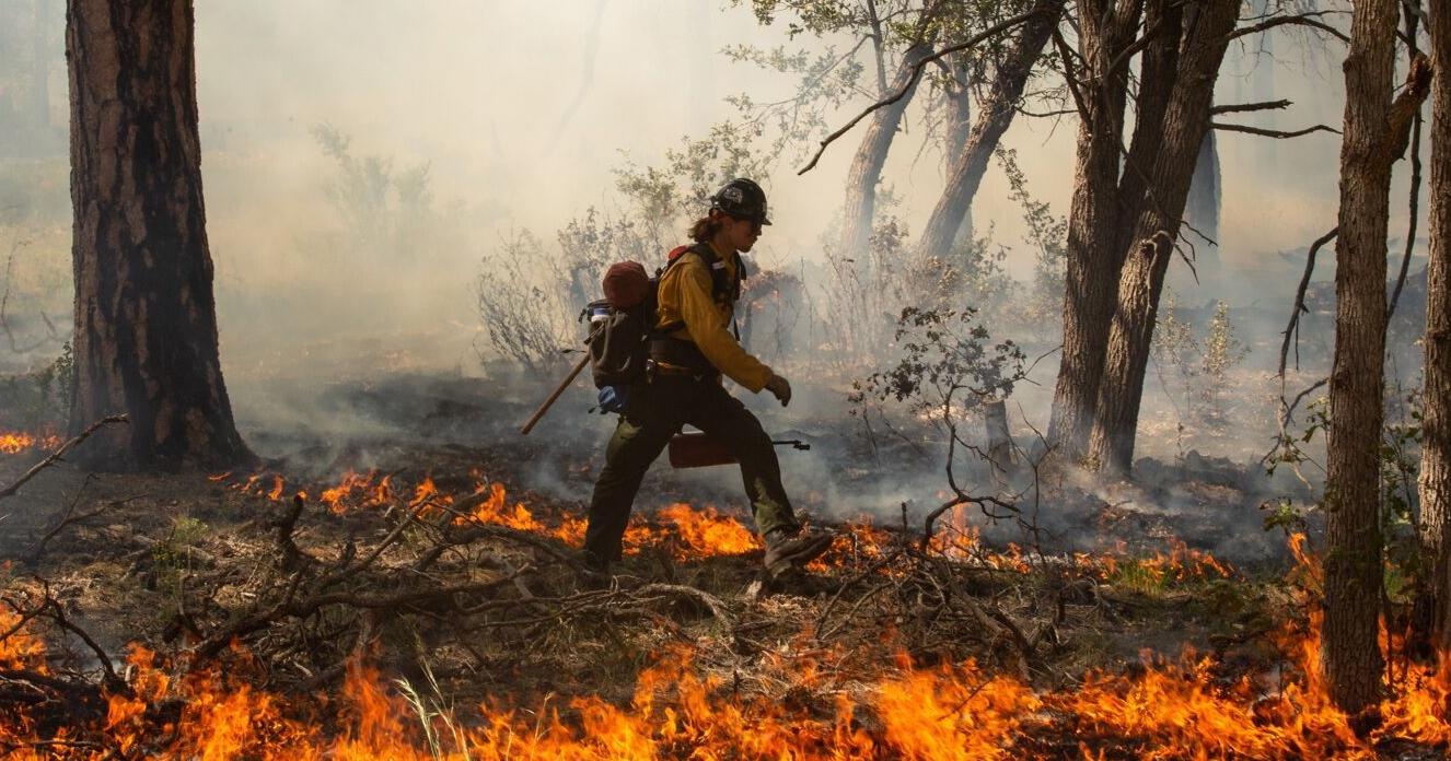 With hot, dry, windy weather expected through July 4th, fire restrictions take effect - Vimarsana News