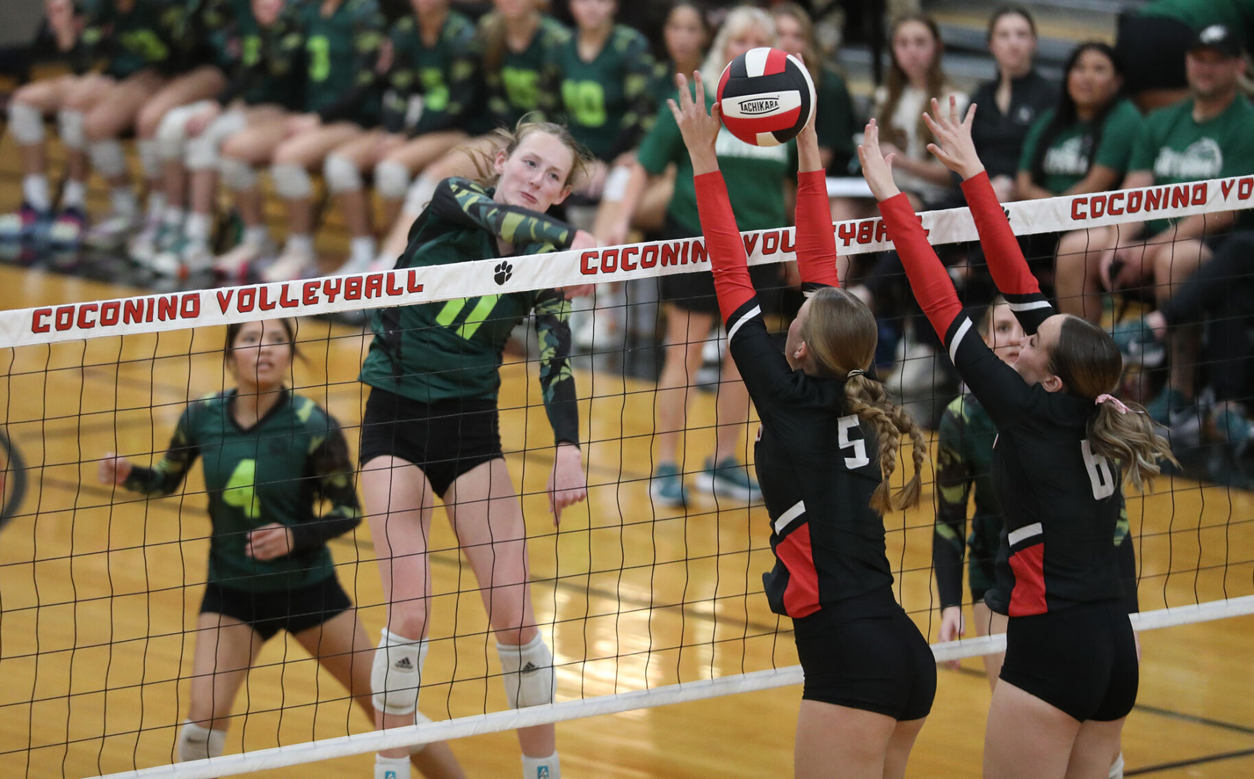 Coconino Flagstaff Volleyball