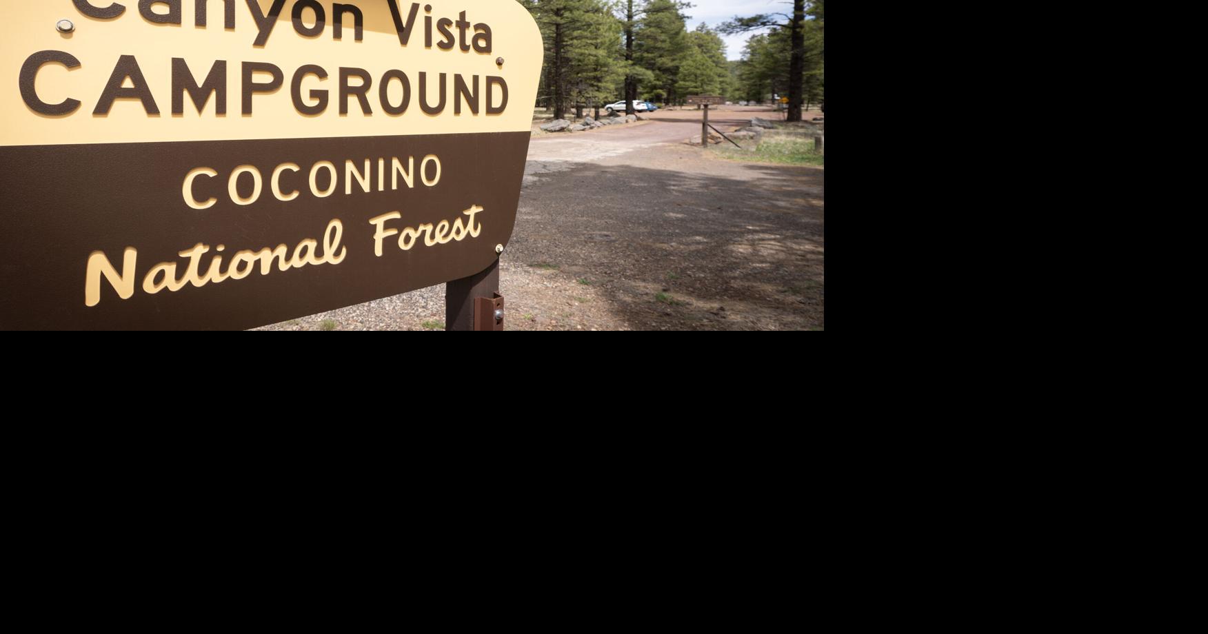 Find your forest escape: A guide to camping in northern Arizona
