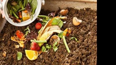 Around the Town: Broke and Busy Beginning Gardener series starts Sunday