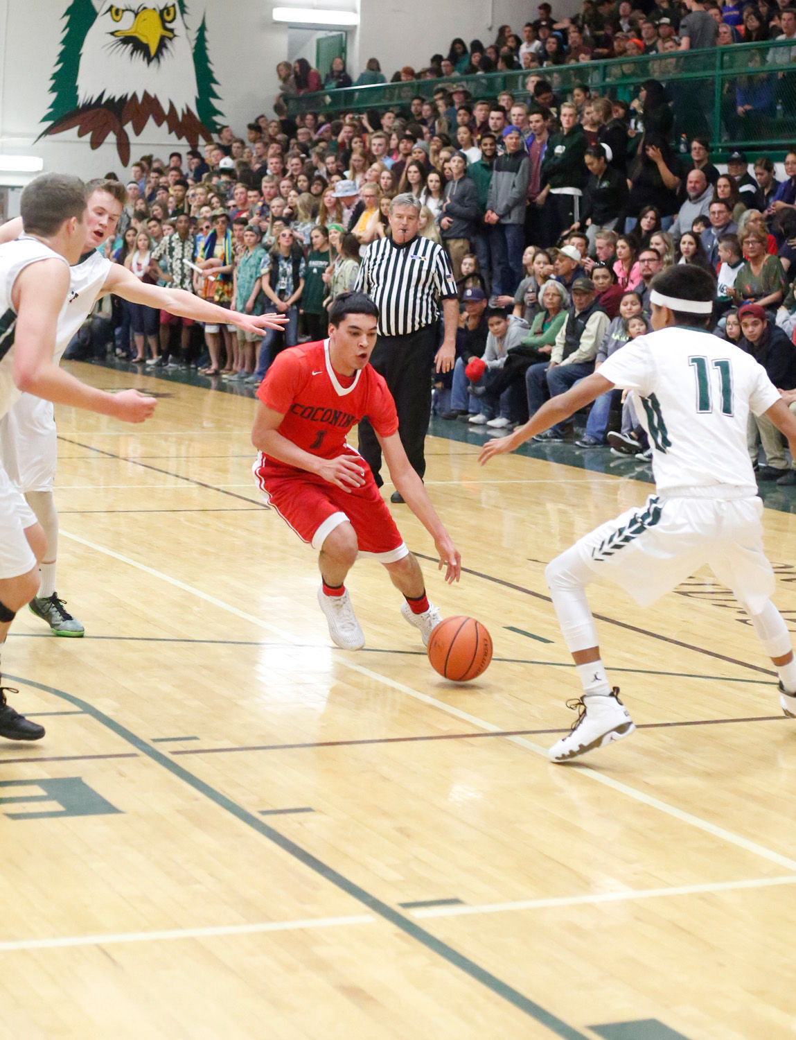 Flagstaff sweeps season series with 7641 win over Coconino