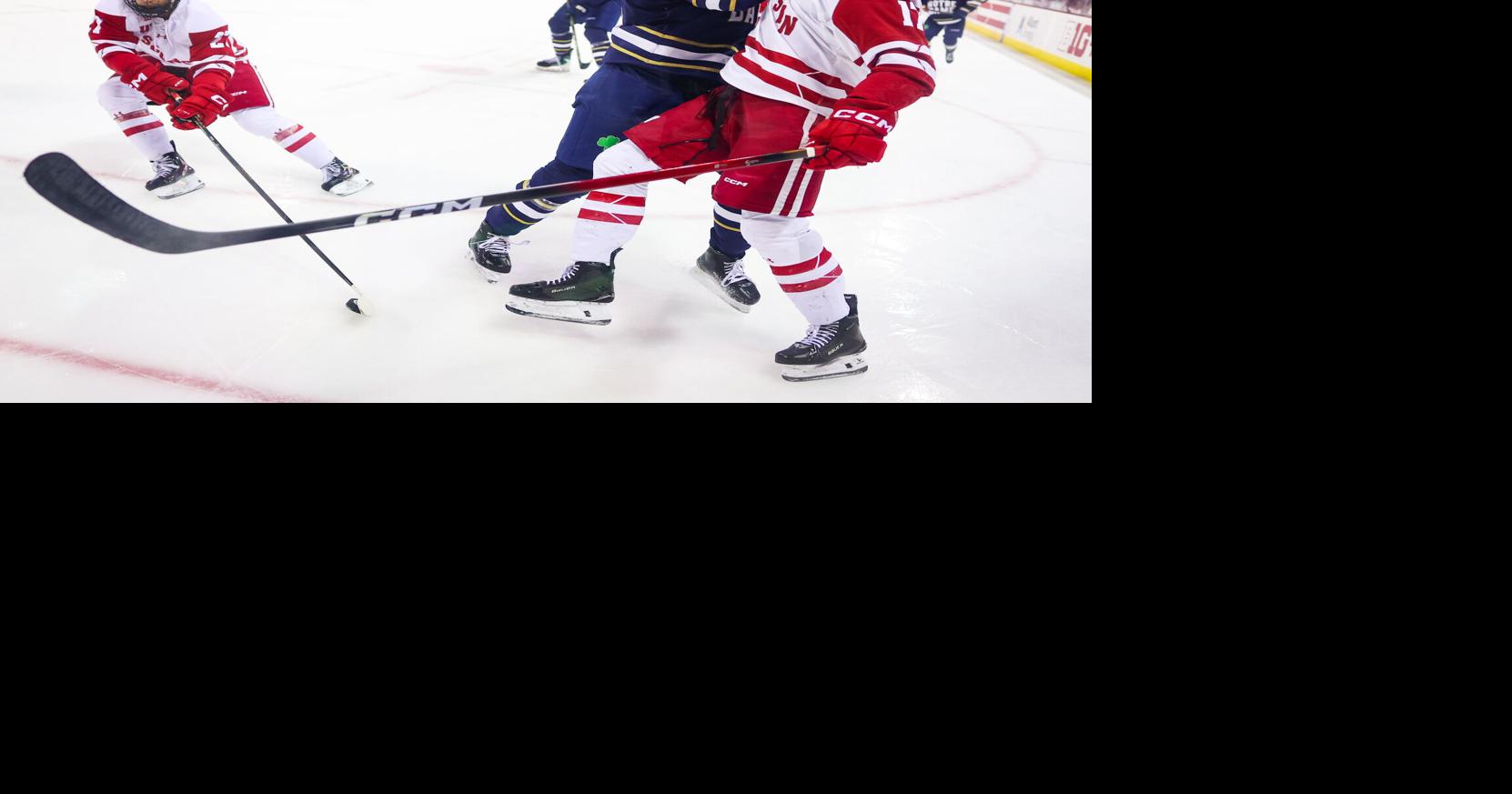 Wisconsin men's hockey stays steady in national rankings