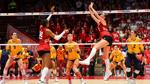 Former Wisconsin volleyball setter finds new home