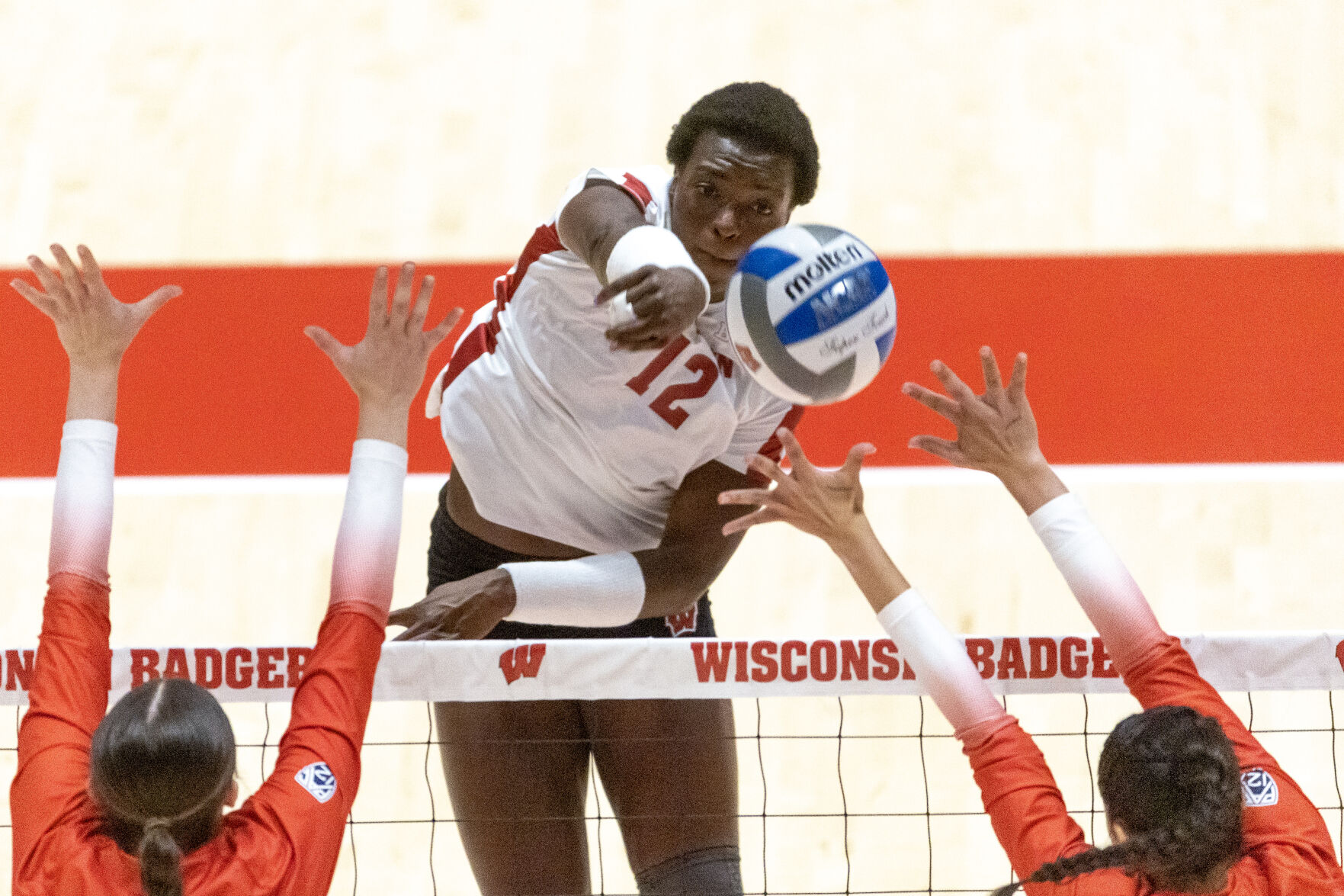 stream badger volleyball game