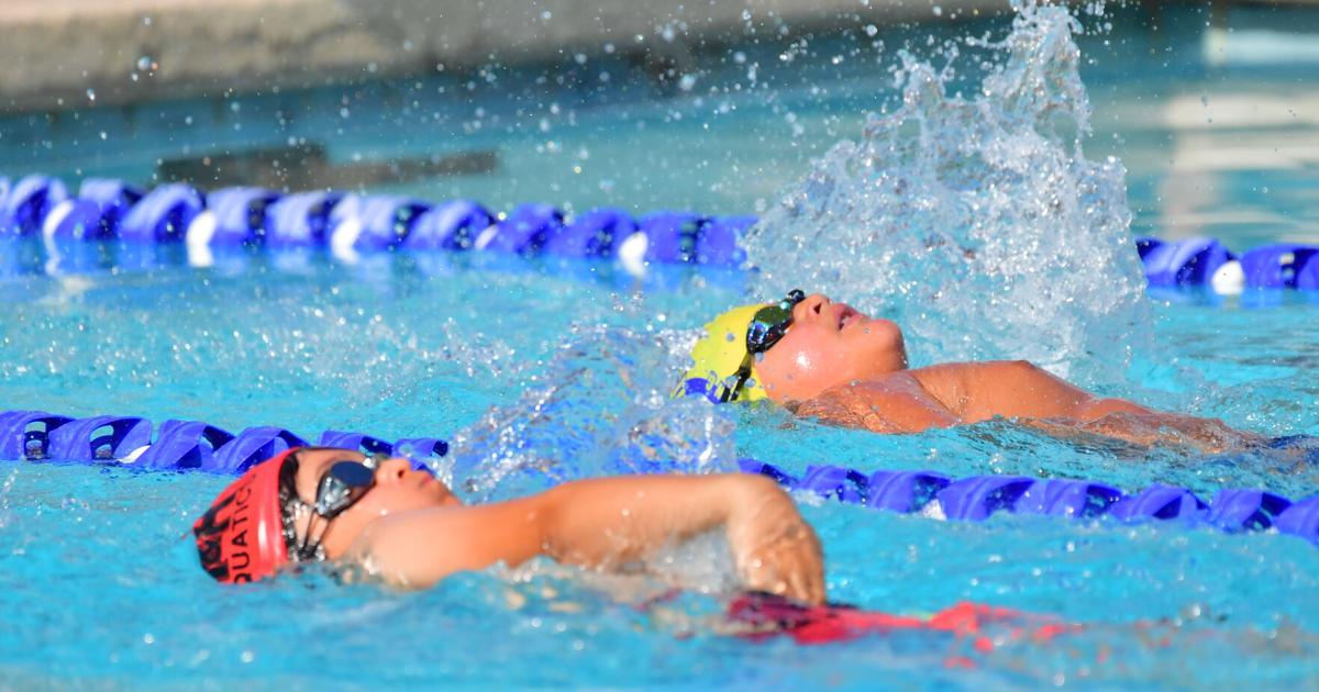 Bay City Aquacats Perform Well At Home Meet Sports Baycitytribune bay-city-aquacats-perform-well-at-home-meet-sports-baycitytribune