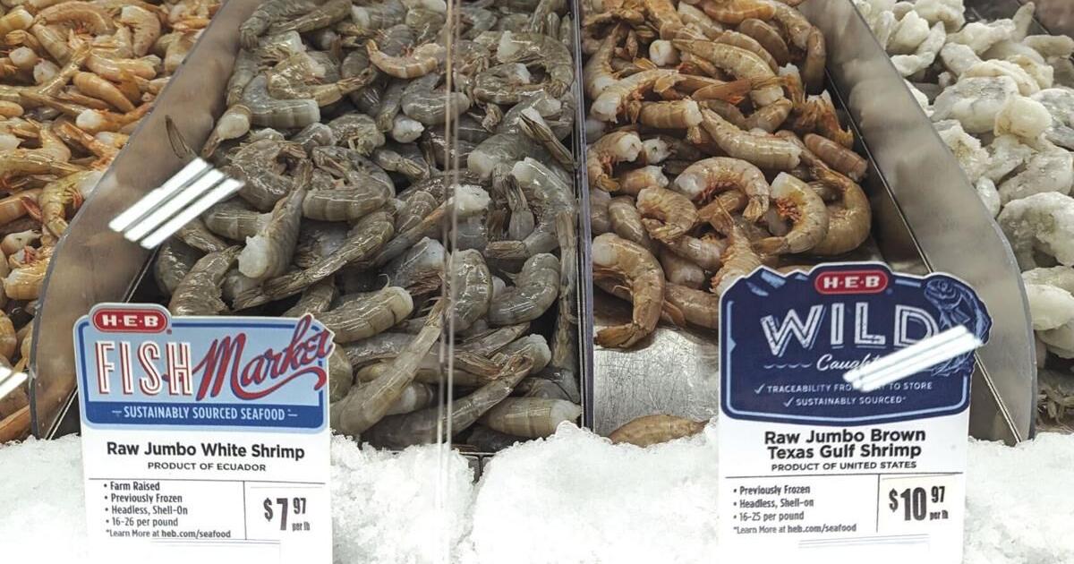 Supreme Court tariff ruling shakes Matagorda County shrimp industry