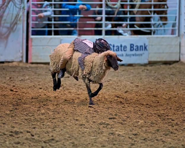 Professional Cowboys rile up the crowd at Ruby Red Rodeo | Gallery ...