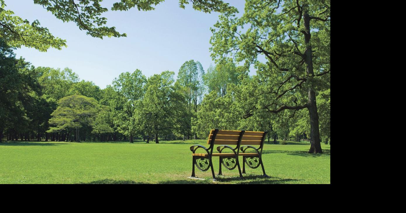 Natural State of Mind: From wildscapes to parkscapes: The cost of misguided conservation | Opinion
