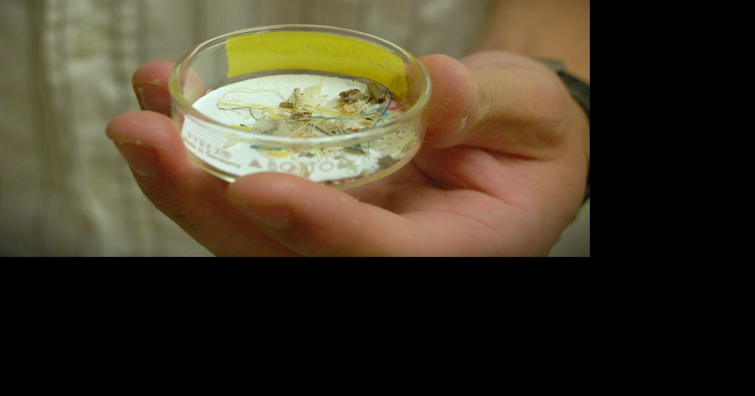 Study finds Matagorda Bay flushing microplastics into the Gulf