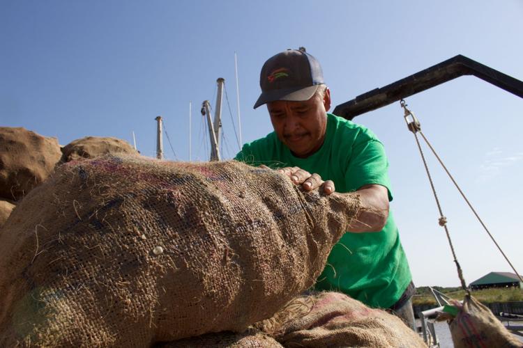 Oyster war on Matagorda Bay News