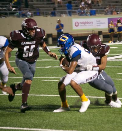 Ganders Take On Bulldogs Tonight In Nederland Sports