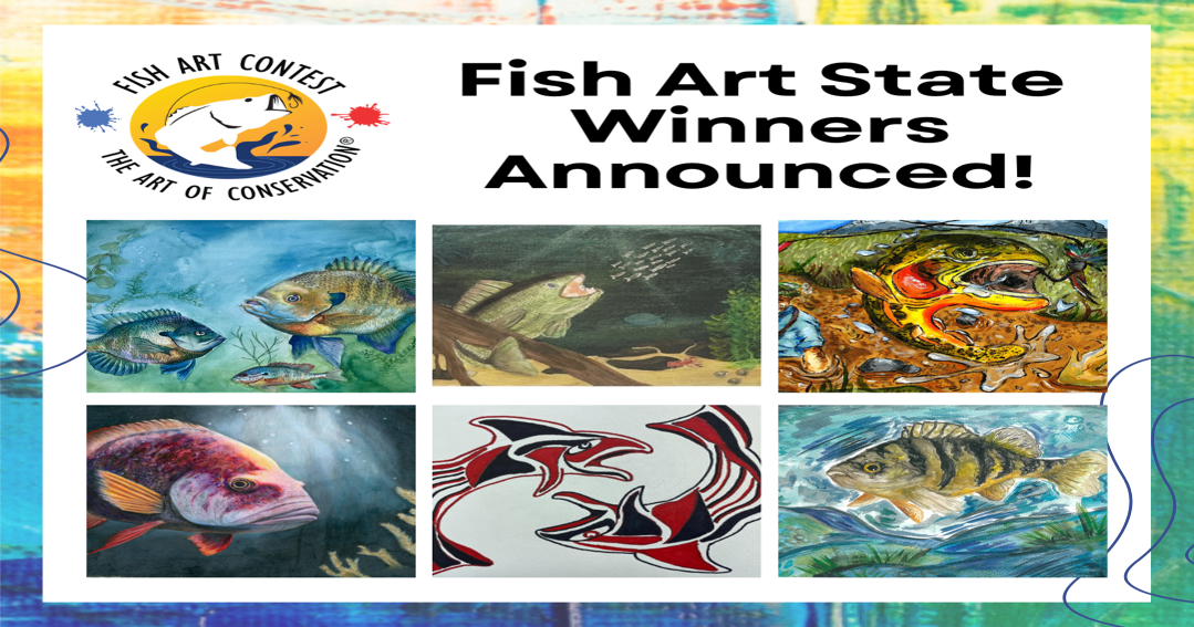 Texas students recognized for achievements in National Fish Art Contest | Lifestyle