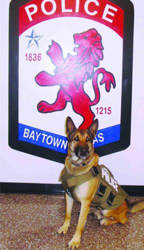 Baytown Police K 9 Receives Ballistic Vest News 3513