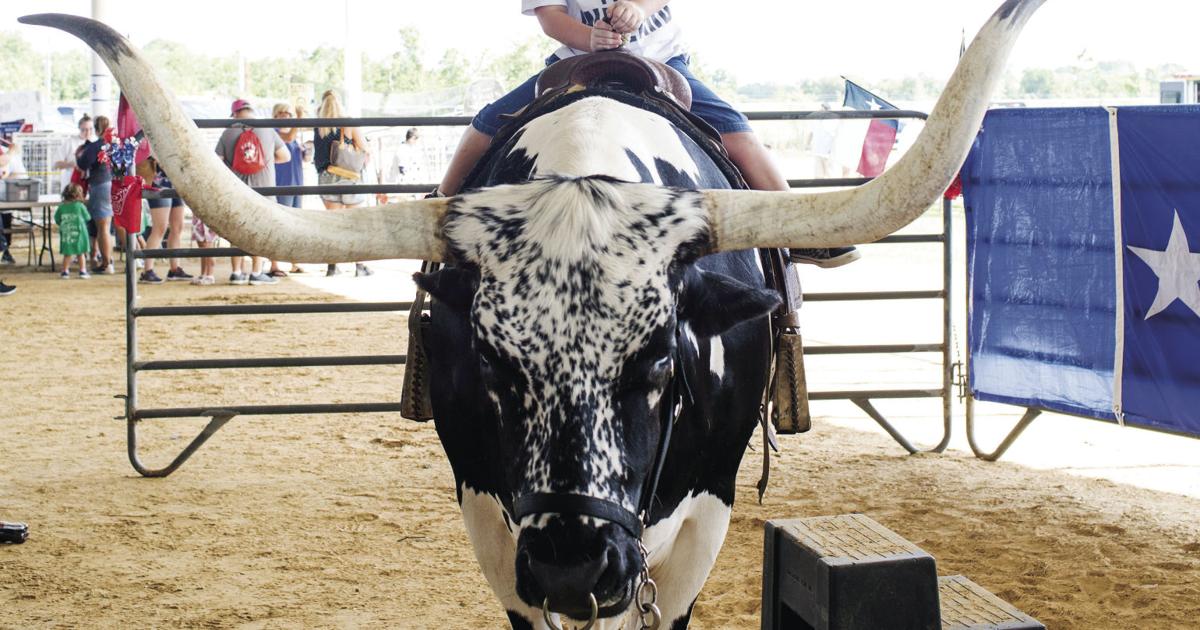 Baytown Special Rodeo a real success | News | baytownsun.com