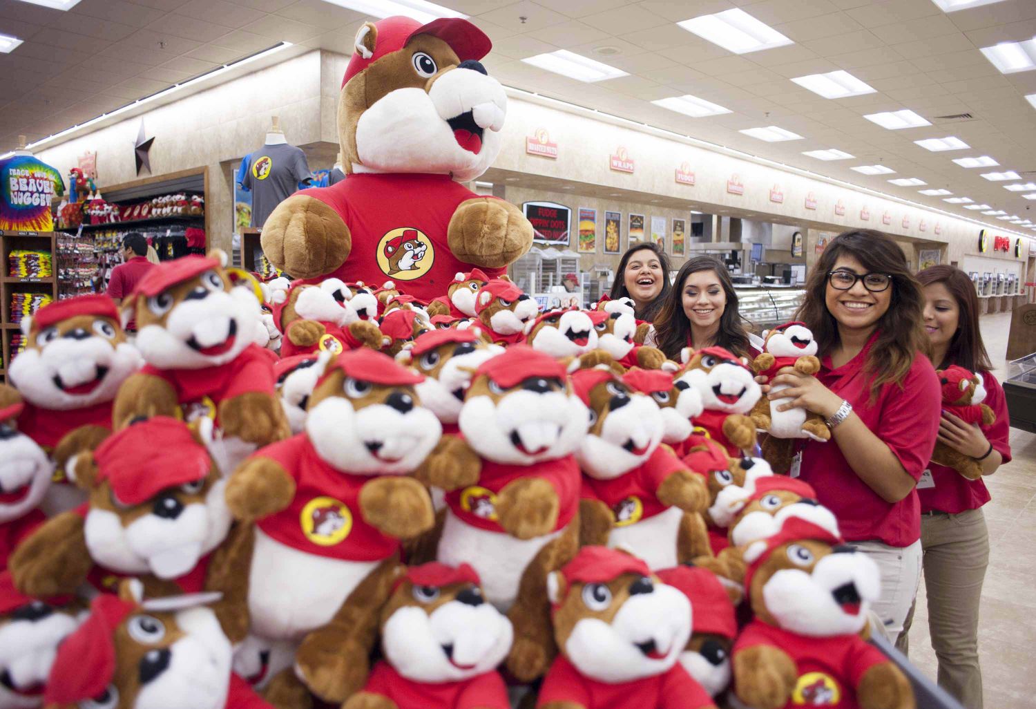 buc ee's beaver stuffed animal