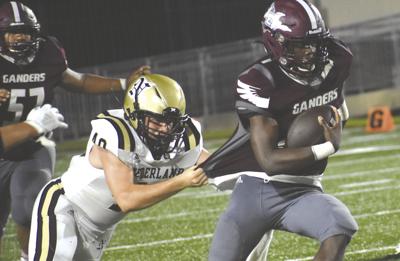 For 5 5 Ganders 2019 A Season Of Unmet Expectations Sports