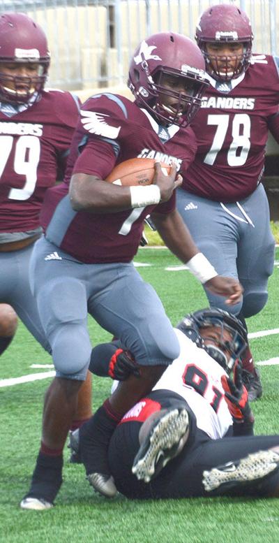 Lee S Wooley Earns Newcomer Honors Sports Baytownsun Com