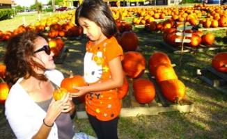 The Great Pumpkin Patch Baytown Baytownsun Com