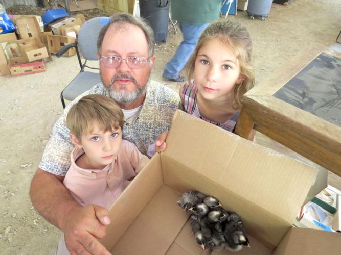 Small animal auction offers domestics, exotics and sometimes, the