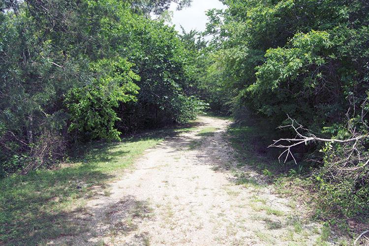 Effort underway or should be to improve neglected Victoria Walker