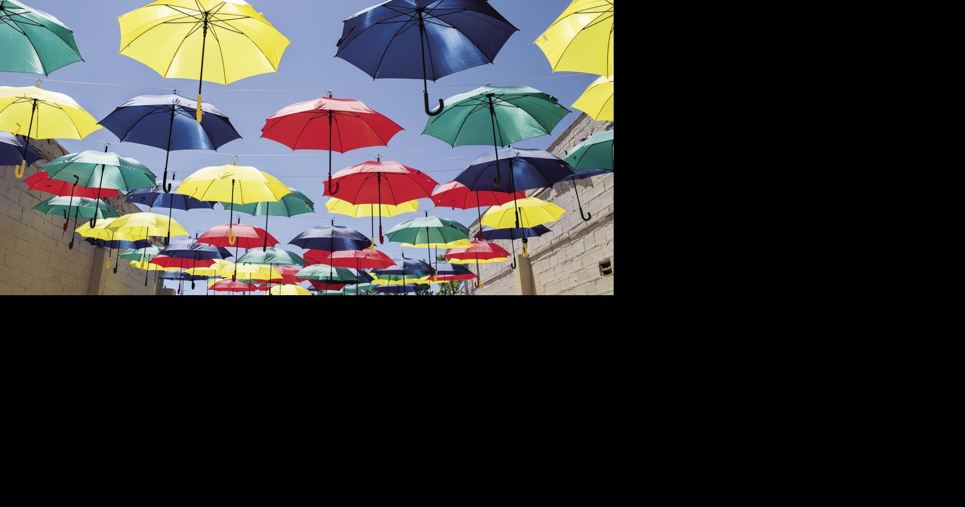 City Umbrella Alley return in the works News