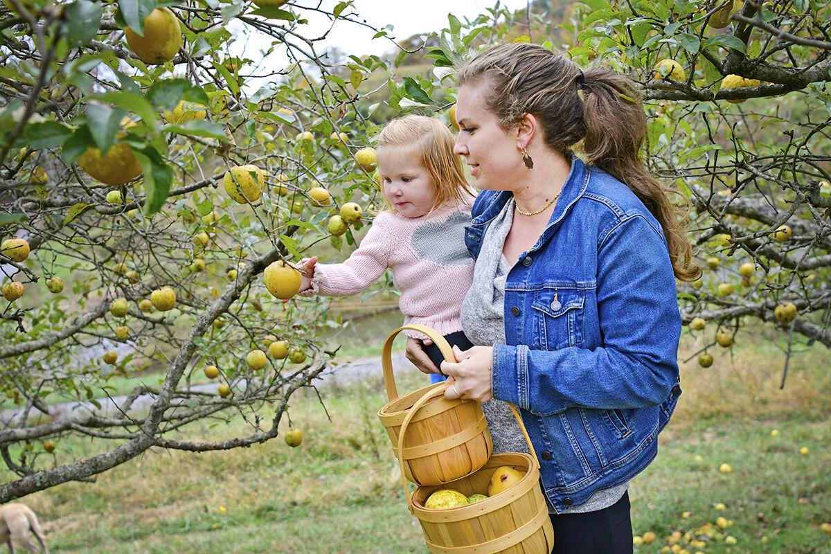 211008-news-apples-jn012.jpg