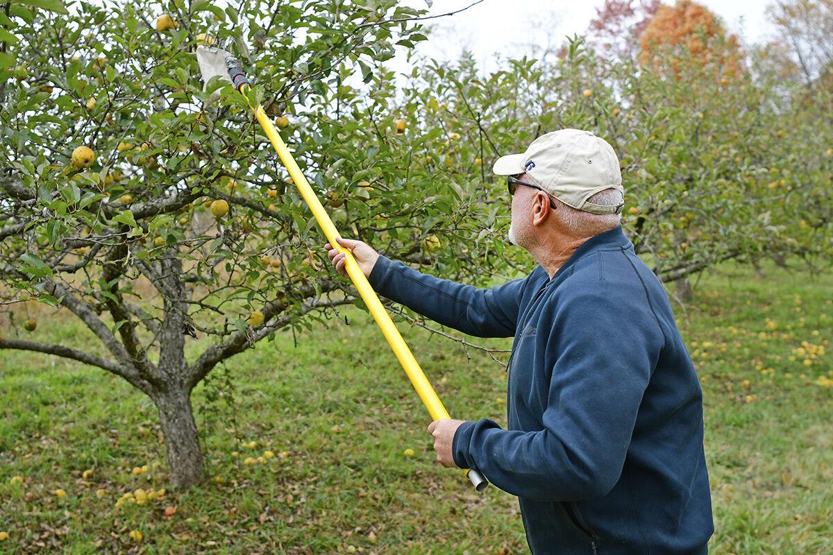 211008-news-apples-jn010.jpg