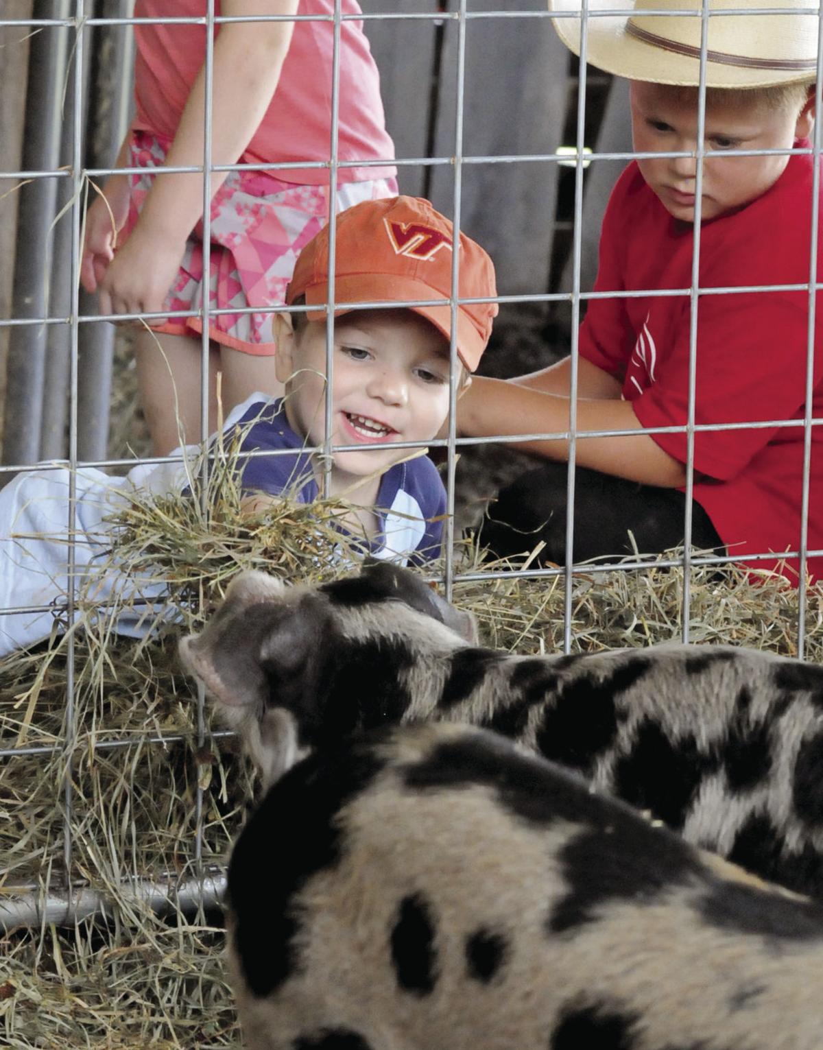 Tazewell County Fair sets sights on 2021 return News