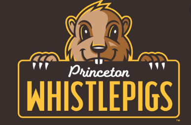 Princeton will no longer have a Minor League Baseball team, News