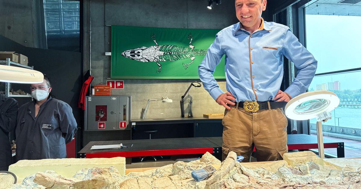 Poland Prehistoric Amphibian