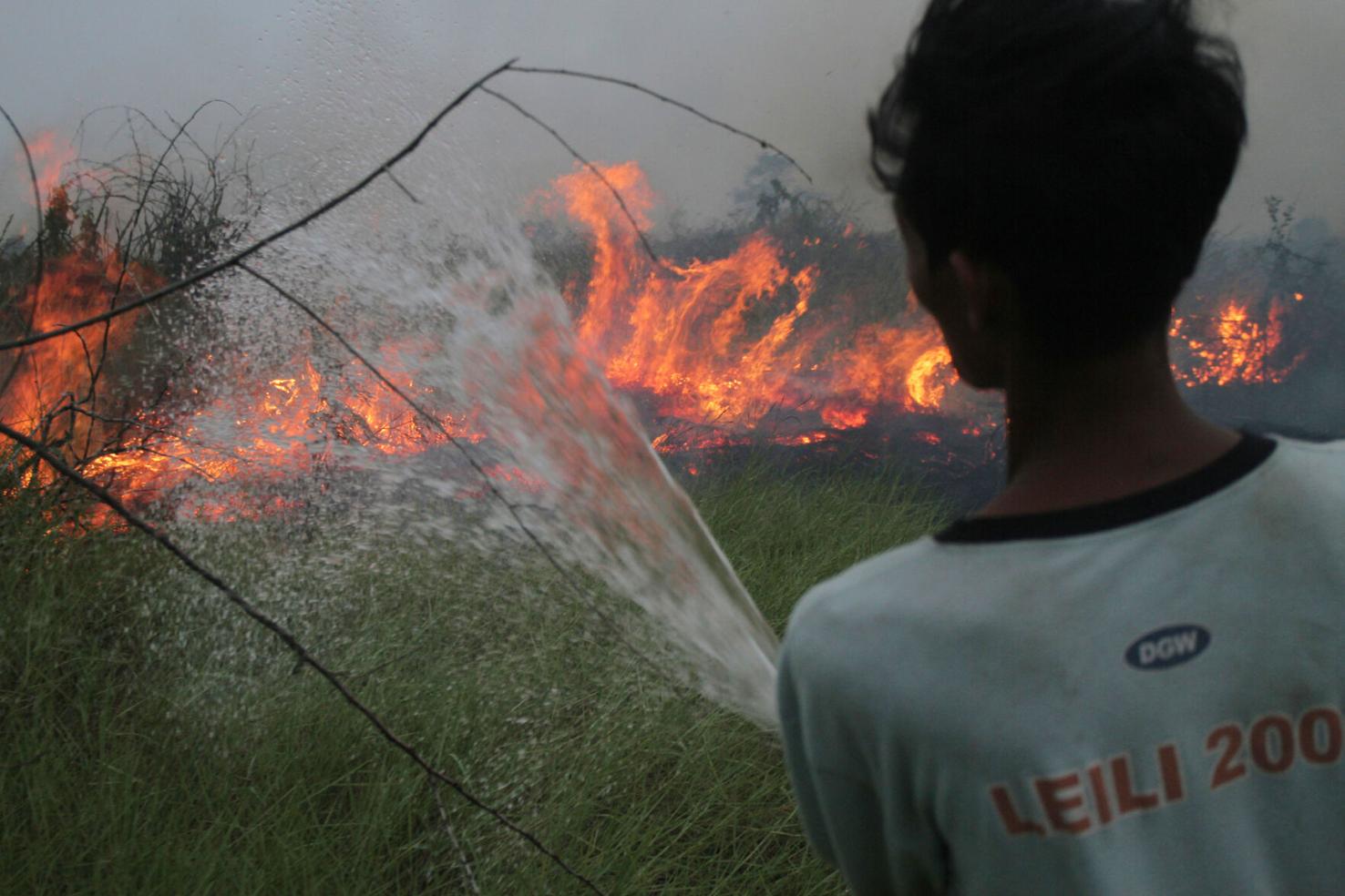 Indonesia Wildfires | College Sports | bdtonline.com