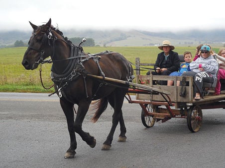 Weather conditions dont halt 28th Annual Burkes Garden Fall Festival News bdtonline