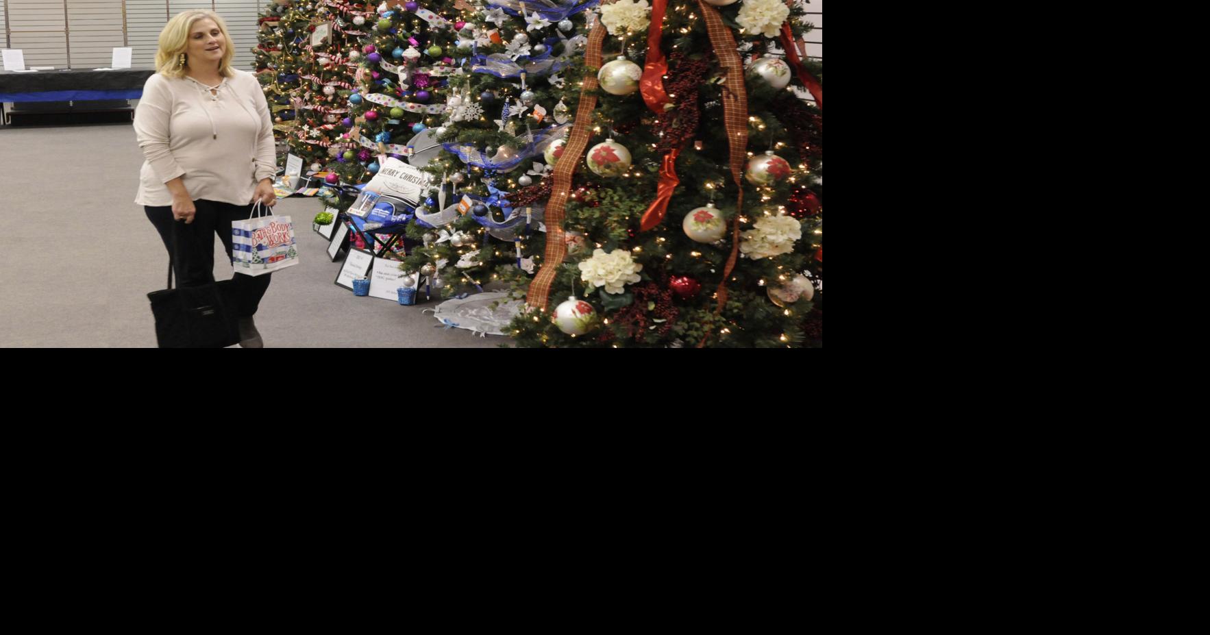 Slideshow: First Ever Mercer County Wonderland of Trees | Gallery ...