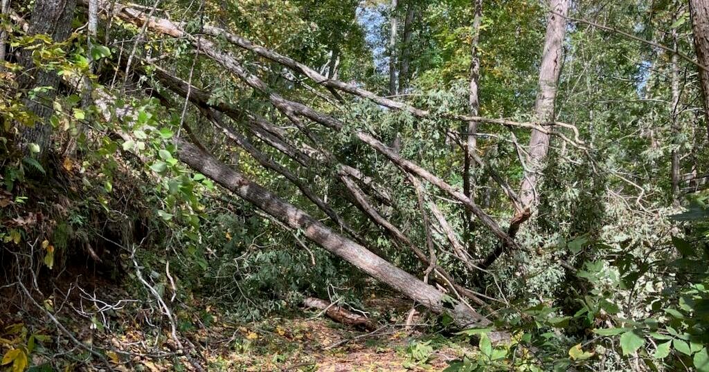 Tazewell County to award $46,000 to Hurricane Helen victims