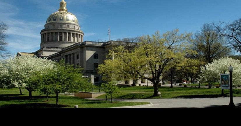 Legislature moving ahead with new foster care bill | News | bdtonline.com