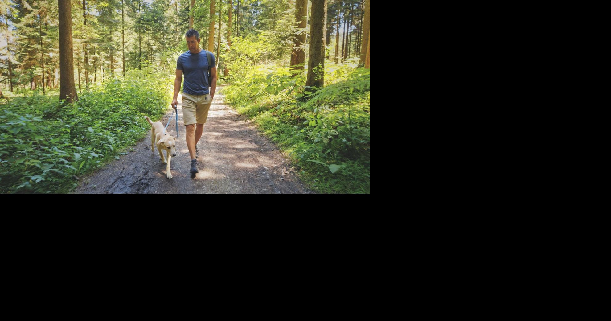 USDA to distribute oral rabies vaccine baits in Southwest Virginia