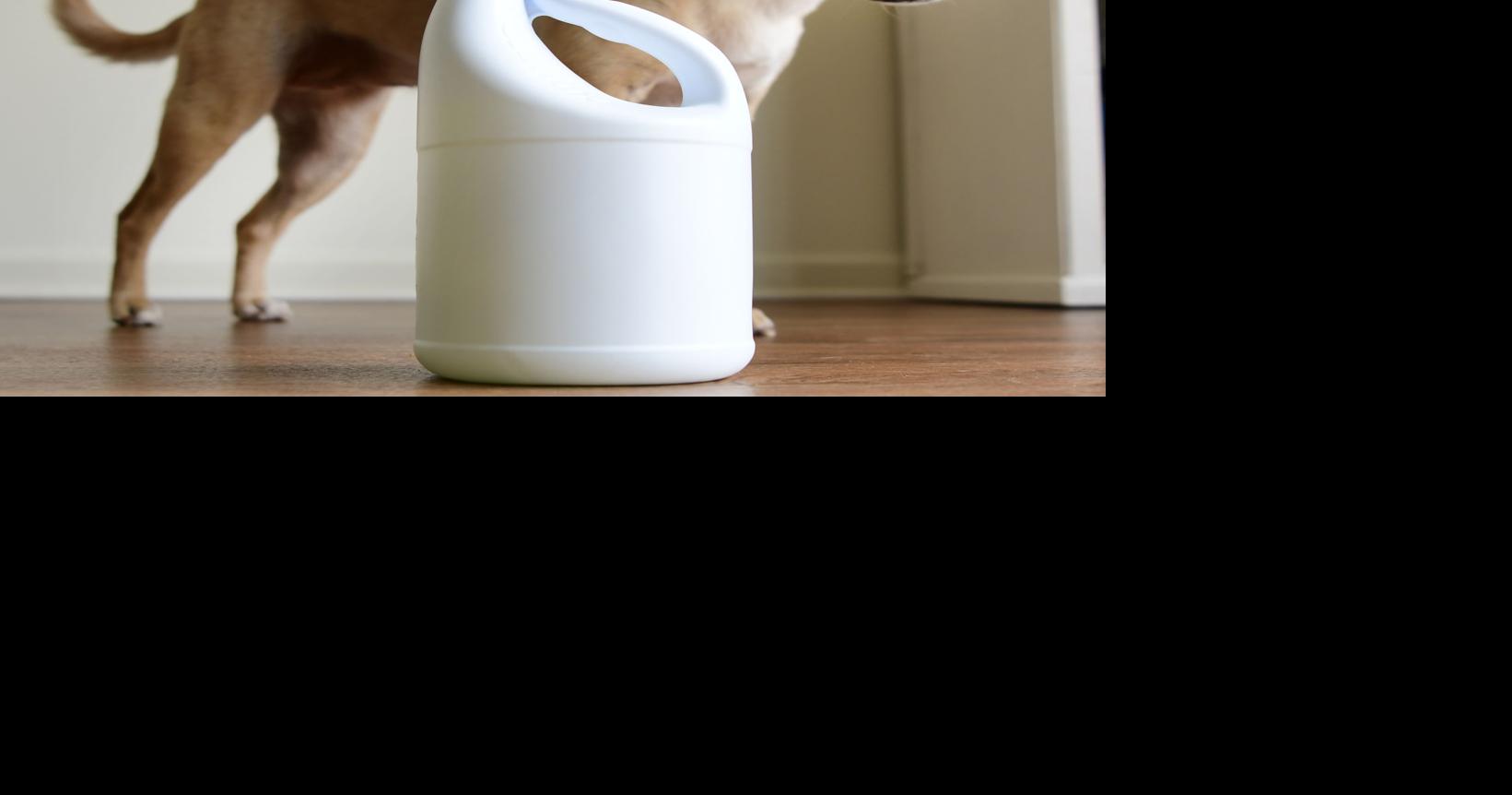 Don’t bleach Fido! Pet Poison Hotline gets spike in calls on misuse of