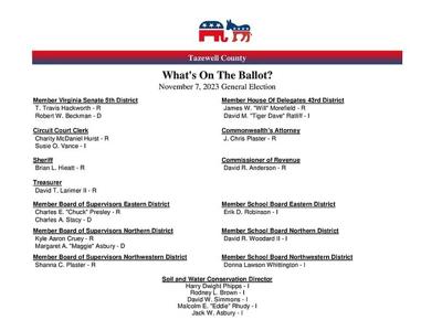 Redistricting reshapes key Southwest Virginia races | News | bdtonline.com