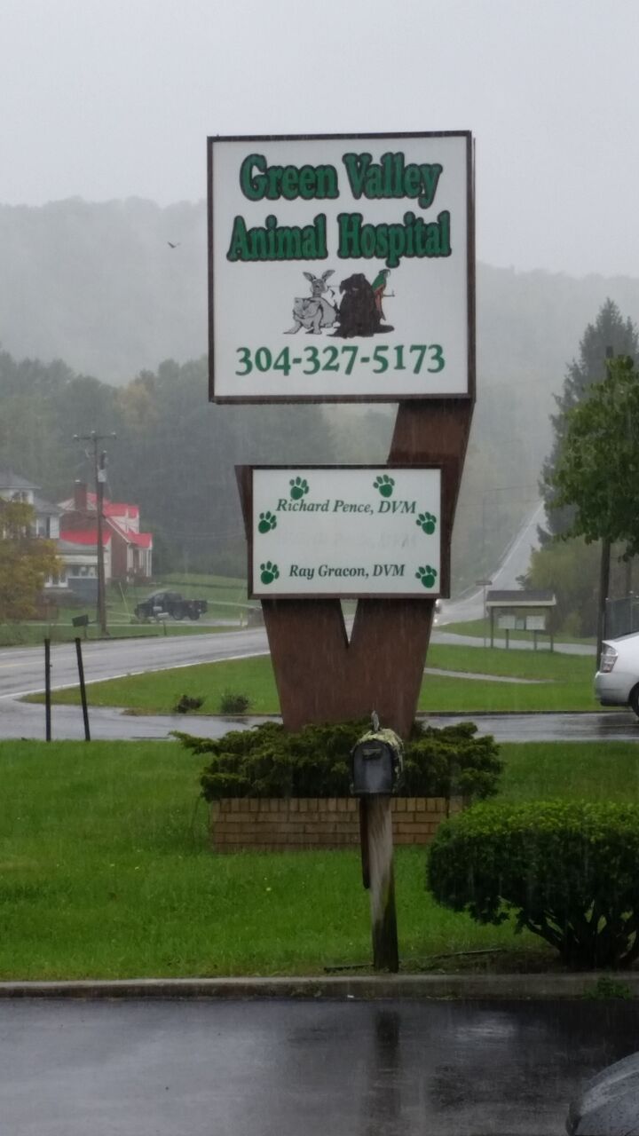 green valley animal hospital bluefield wv