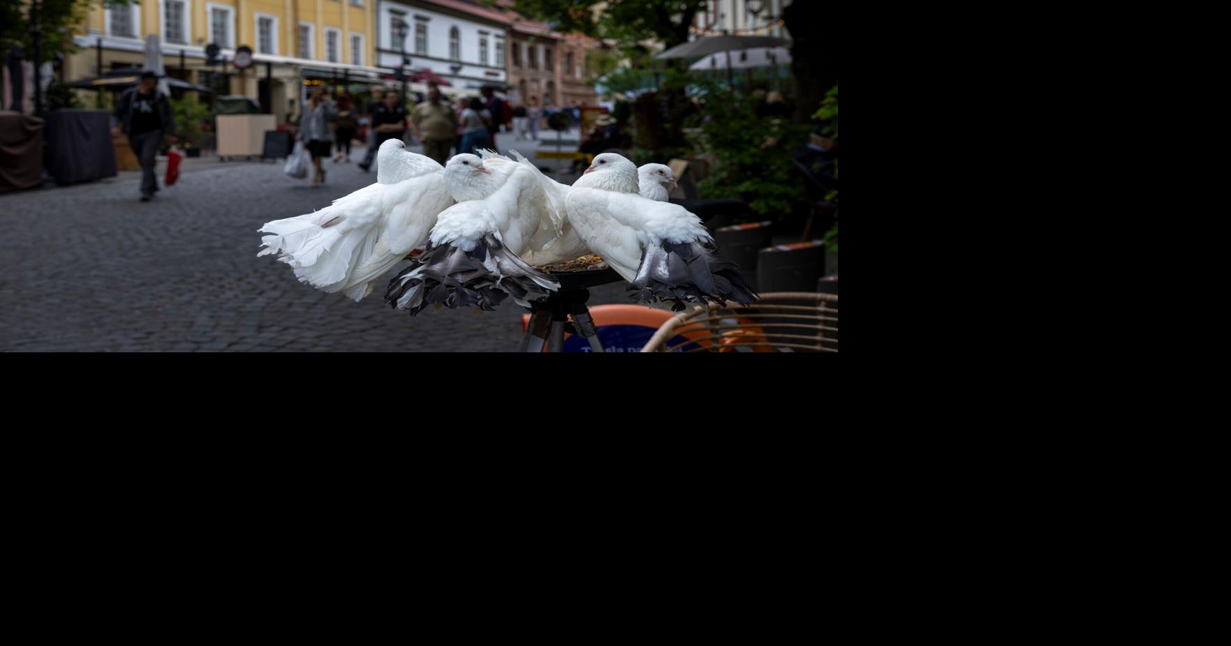 Lithuania Daily Life
