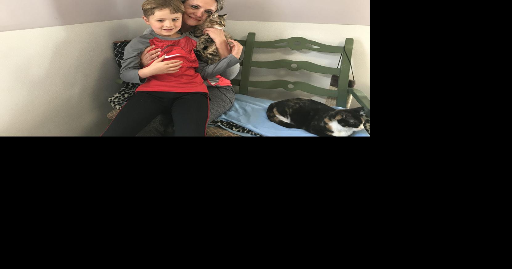 Second Chance for Cats still helping area felines find their forever