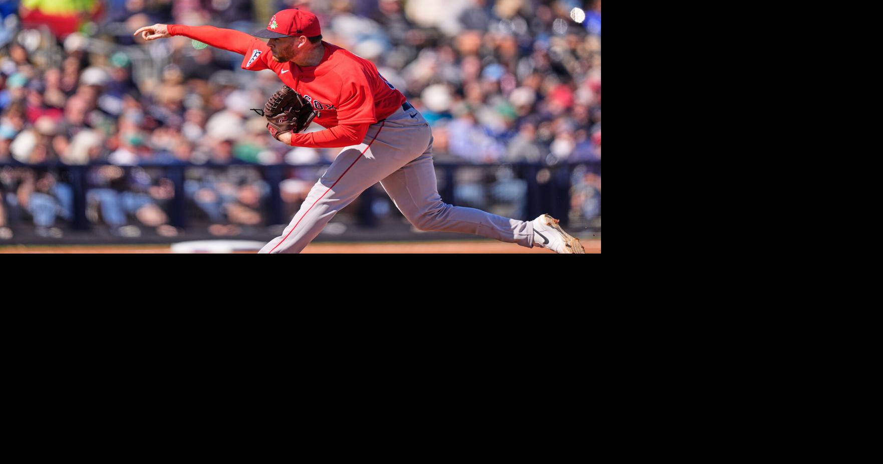 Red Sox Rays Spring Baseball | National Sports | bdtonline.com