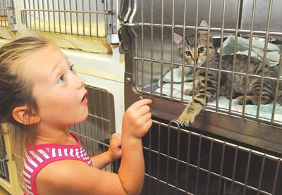 Animal shelter plans adoption event in hopes of saving pets' lives | News |  