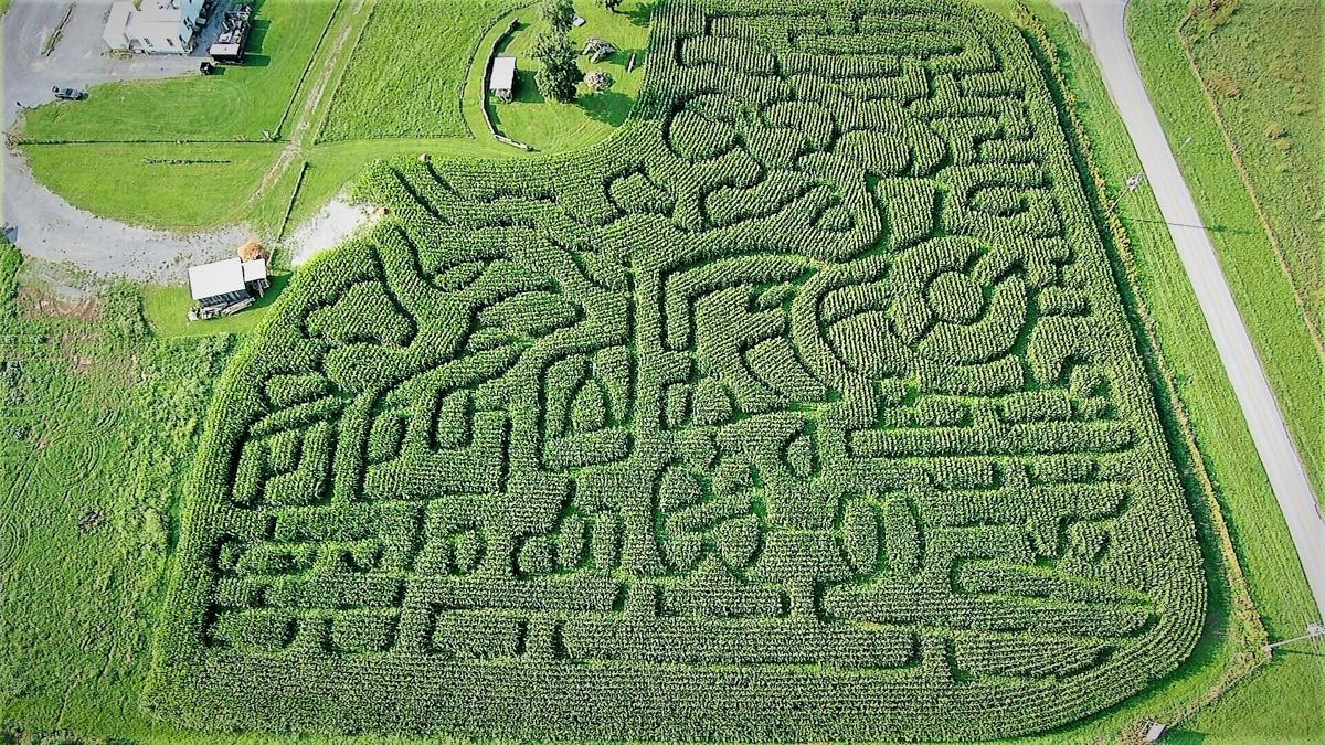 Crab Orchard Corn Maze set to open gates on adventure News