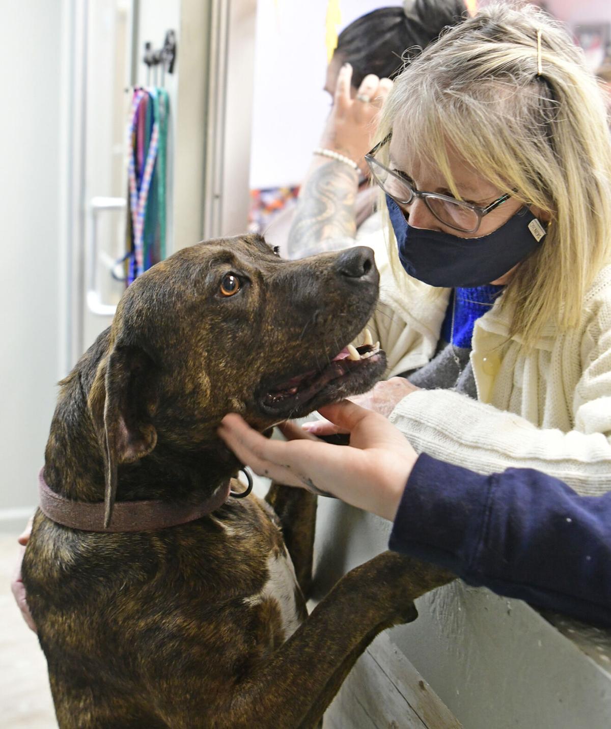 211107-news-slideshow-dogs-jn004.jpg