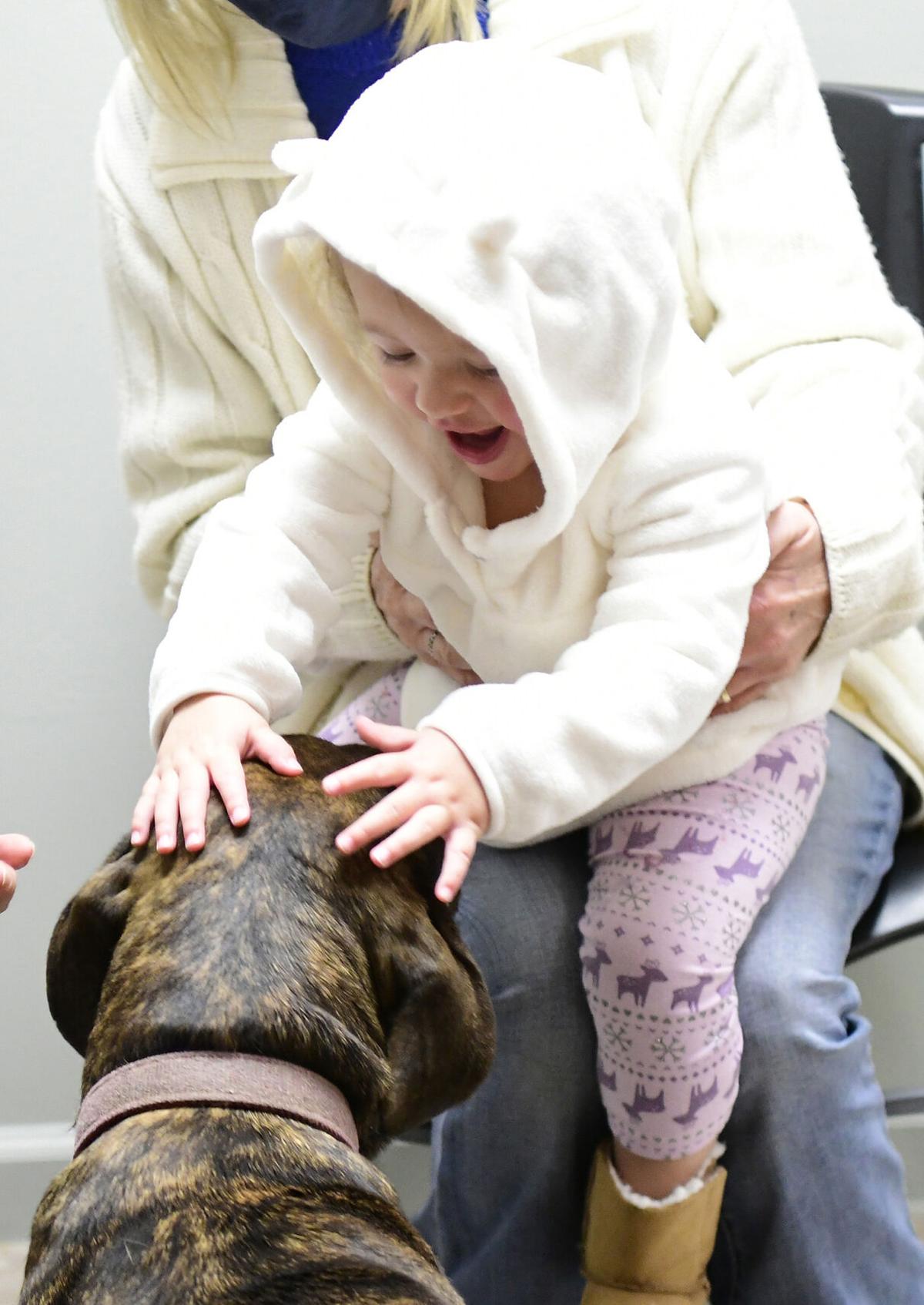 211107-news-slideshow-dogs-jn009.jpg